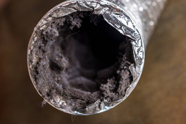 Best Commercial HVAC Duct Cleaning  in Greene, IA