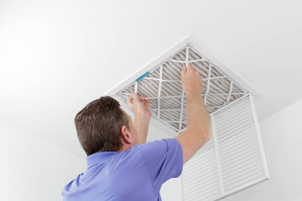 Best Affordable Air Duct Cleaning  in Greene, IA